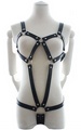 Body Harness